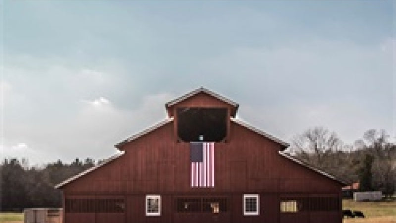 Photo - Primary
