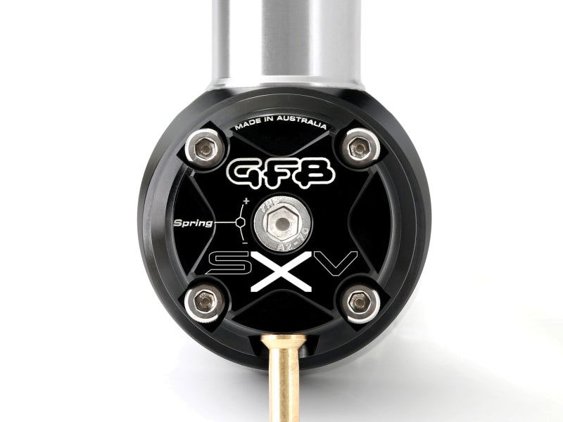 GFB Polaris RZR Turbo SXV Recirculating Bypass Valve