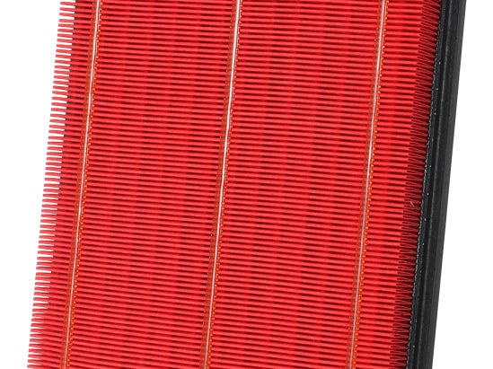 Photo - Primary
