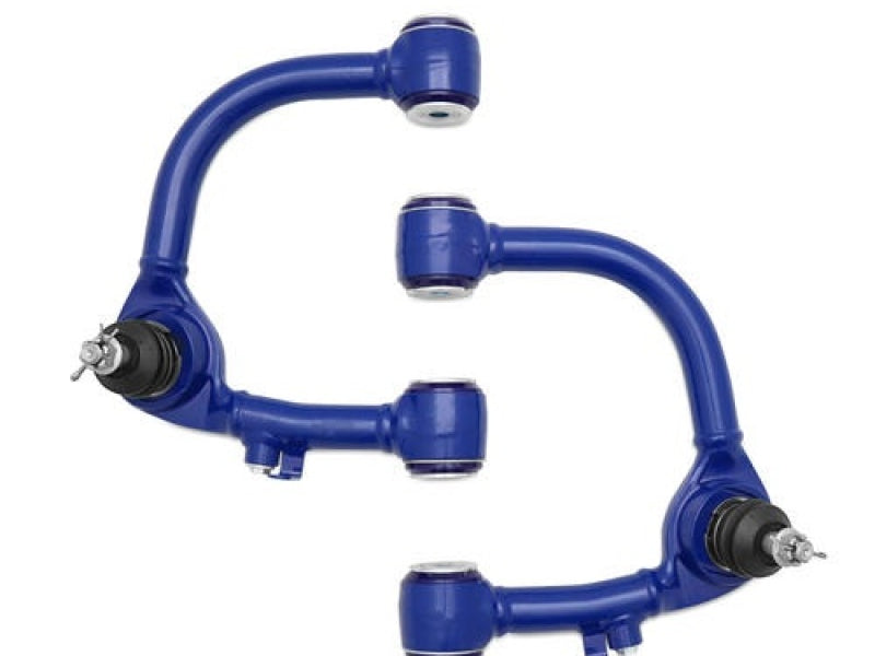 Photo - Close Up