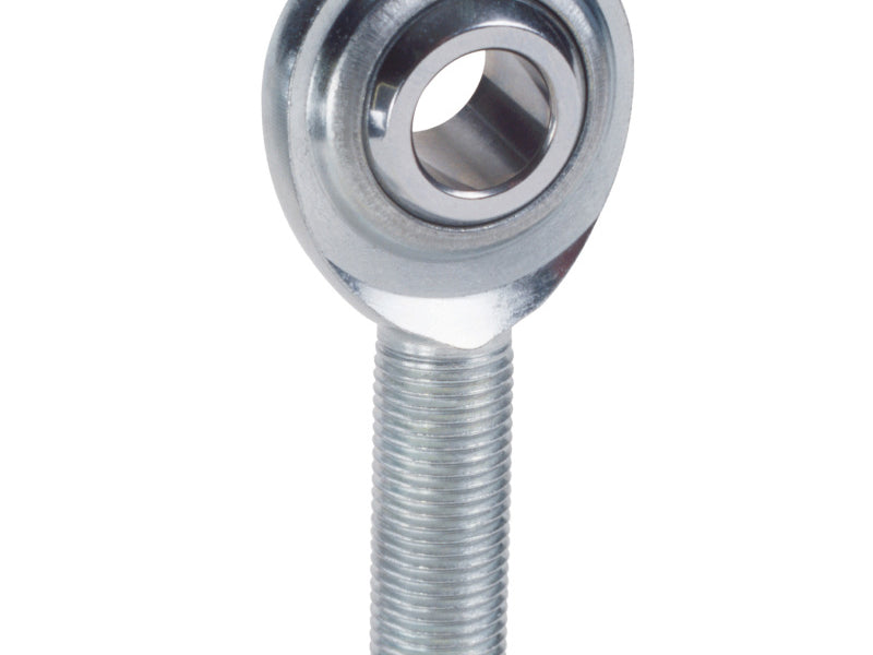 Photo - Primary