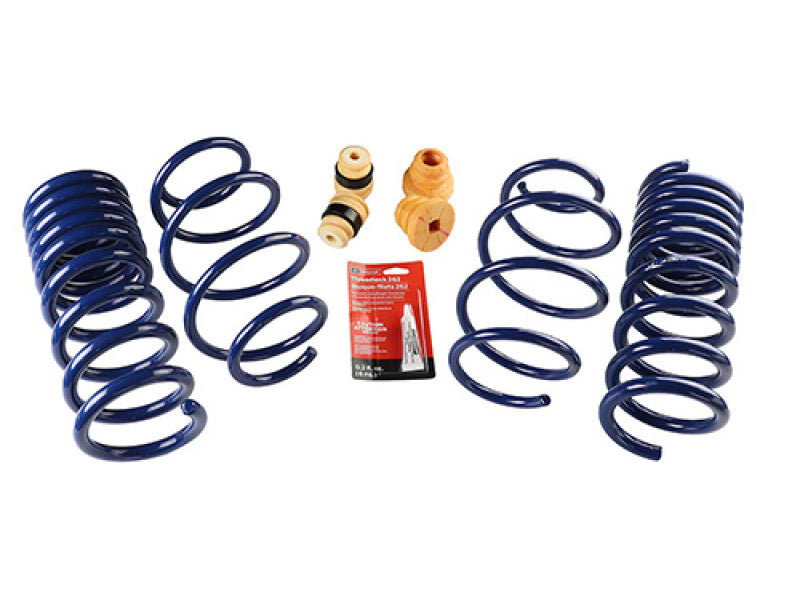 Ford Racing 15-19 Mustang (w/o MagneRide) Street Lowering Spring Kit