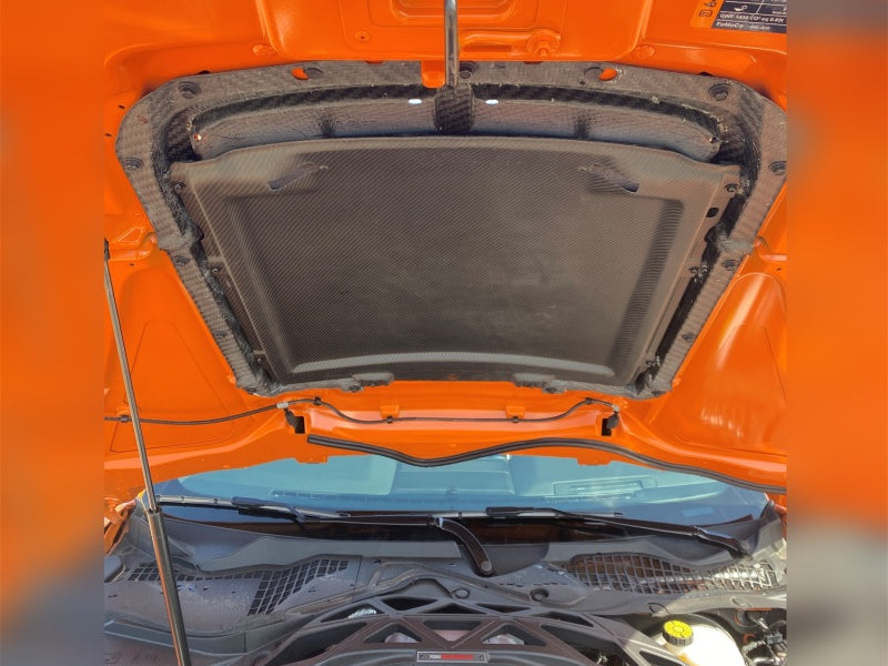 Ford Racing 20-22 Mustang GT500 Carbon Fiber Hood Vent Kit