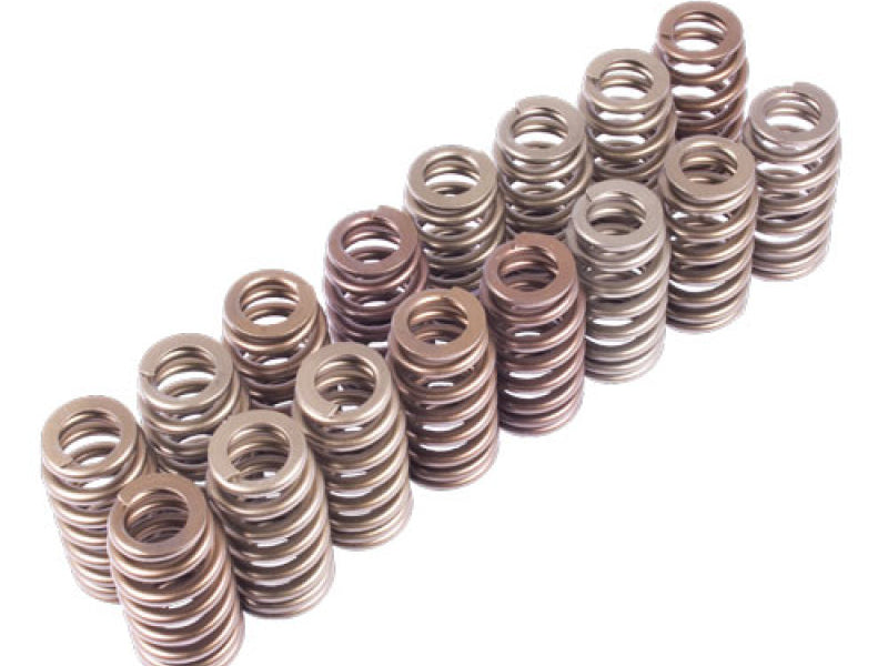 Ford Racing BOSS 302R Valve Spring Kit