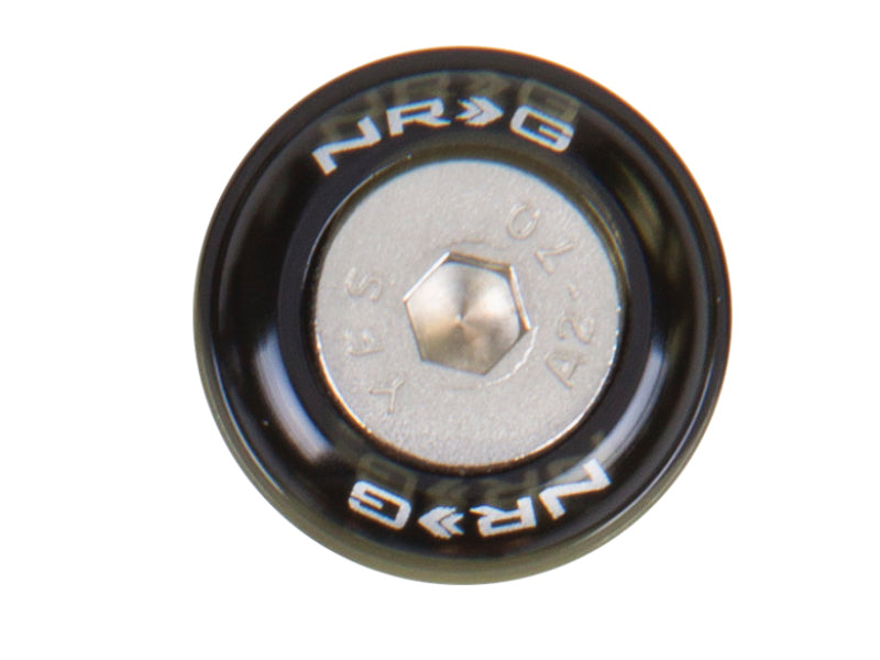 NRG Fender Washer Kit w/Rivets For Metal (Black) - Set of 10